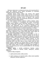 Diplomdarbs 'Materiālu kustības pilnveidošana elektropreču ražošanas uzņēmumos', 8.