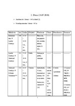 Paraugs 'Ceļojuma maršruts Rīga - Norvēģija - Nairobi - Rīga', 7.