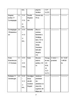 Paraugs 'Ceļojuma maršruts Rīga - Norvēģija - Nairobi - Rīga', 17.