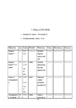 Paraugs 'Ceļojuma maršruts Rīga - Norvēģija - Nairobi - Rīga', 19.