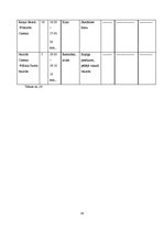 Paraugs 'Ceļojuma maršruts Rīga - Norvēģija - Nairobi - Rīga', 36.