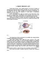 Referāts 'Pirmā palīdzība', 4.