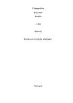 Referāts 'Kultūra socioloģiskā skatījumā', 1.