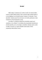 Referāts 'Kultūra socioloģiskā skatījumā', 3.