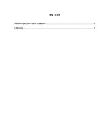 Referāts 'Nelaimes gadījumu darba vietā radītie zaudējumi', 3.