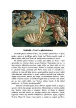 Eseja 'Botičelli glezna "Venēras piedzimšana"', 1.
