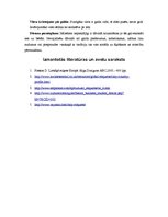 Konspekts 'Nacionālās etiķetes īpatnības Itālijā', 3.