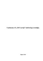 Referāts 'Uzņēmuma a/s "G4S Latvija" mārketinga stratēģija', 1.