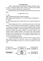 Referāts 'Uzņēmuma a/s "G4S Latvija" mārketinga stratēģija', 11.