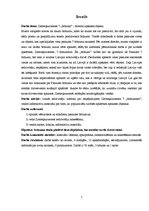 Referāts 'Ziemeļkurzemes septiņi brīnumi - tūrisma apskates objekti', 5.