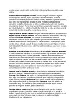 Konspekts 'Feniķiešu vēsture, kultūra, mitoloģija, sabiedrība un kultūras mantojums', 16.