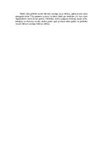 Eseja 'Attīstības psiholoģija. Bērna attīstība, mācīšanās un audzināšana', 60.