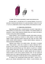 Diplomdarbs 'Cilvēkresursu atlases un izvēles procedūru analīze uzņēmumā "Izzi"', 41.