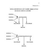 Referāts 'Eiropas Savienības un Latvijas Republikas svarīgākie normatīvie akti', 12.