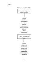 Referāts 'Mūzikas ietekme uz bērna attīstību', 3.