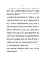 Referāts 'Skaists cilvēks - simetrija, proporcijas, antropoloģija', 2.