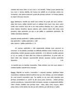 Referāts 'Skaists cilvēks - simetrija, proporcijas, antropoloģija', 4.