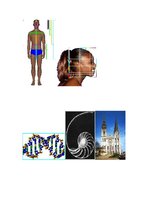 Referāts 'Skaists cilvēks - simetrija, proporcijas, antropoloģija', 7.