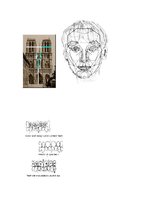 Referāts 'Skaists cilvēks - simetrija, proporcijas, antropoloģija', 8.