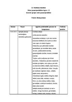 Prakses atskaite 'Māszinības', 1.