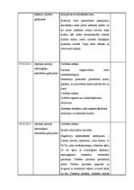 Prakses atskaite 'Māszinības', 12.