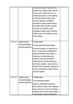 Prakses atskaite 'Māszinības', 15.