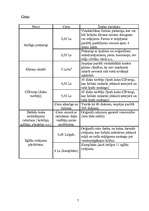 Biznesa plāns 'SIA “Vudijs”', 7.