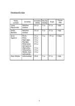 Biznesa plāns 'SIA “Vudijs”', 8.