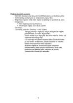 Biznesa plāns 'SIA “Vudijs”', 9.