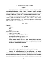 Referāts 'SIA "Tieto" darbības analīze', 7.