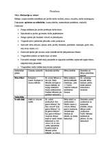 Prakses atskaite 'Prakse pirmsskolā', 1.