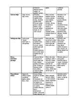 Prakses atskaite 'Prakse pirmsskolā', 5.