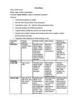 Prakses atskaite 'Prakse pirmsskolā', 10.