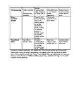 Prakses atskaite 'Prakse pirmsskolā', 11.