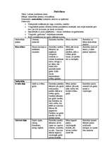 Prakses atskaite 'Prakse pirmsskolā', 12.