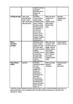 Prakses atskaite 'Prakse pirmsskolā', 13.