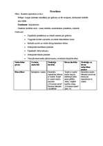 Prakses atskaite 'Prakse pirmsskolā', 16.