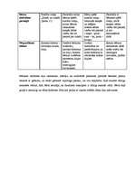 Prakses atskaite 'Prakse pirmsskolā', 18.