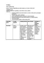 Prakses atskaite 'Prakse pirmsskolā', 19.