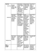 Prakses atskaite 'Prakse pirmsskolā', 20.