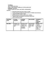 Prakses atskaite 'Prakse pirmsskolā', 22.