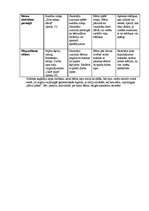 Prakses atskaite 'Prakse pirmsskolā', 24.