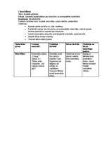 Prakses atskaite 'Prakse pirmsskolā', 25.