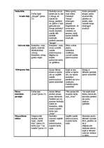 Prakses atskaite 'Prakse pirmsskolā', 26.