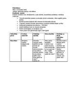 Prakses atskaite 'Prakse pirmsskolā', 28.