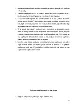 Referāts 'Organizāciju kultūra', 12.