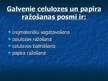 Prezentācija 'Papīra ražošana', 5.