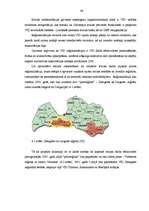 Diplomdarbs 'Latvijas muitas politika, tās darbības izvērtēšana un attīstība', 66.