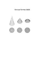 Eseja 'Konusa formas dabā', 1.