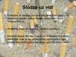 Prezentācija 'Nikotīna un dūmu ietekme uz cilvēka veselību', 7.